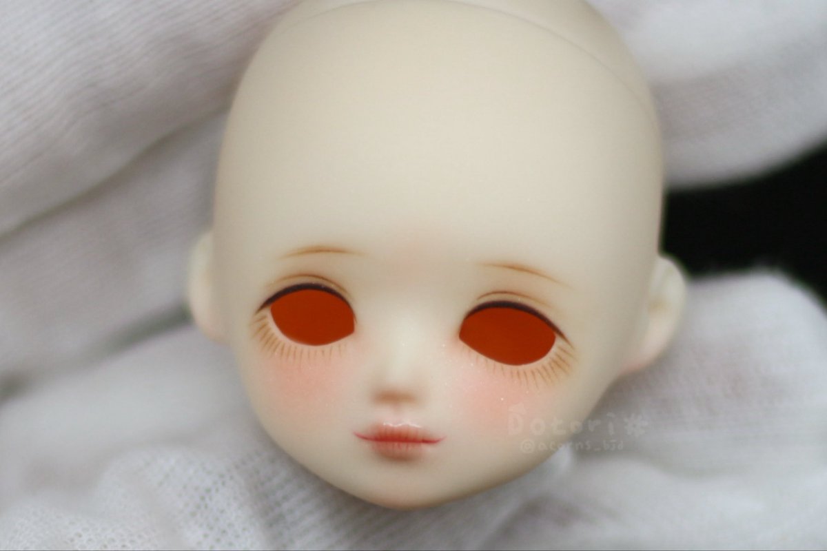 도토리샵 (@acorns_bjd) on Twitter photo 