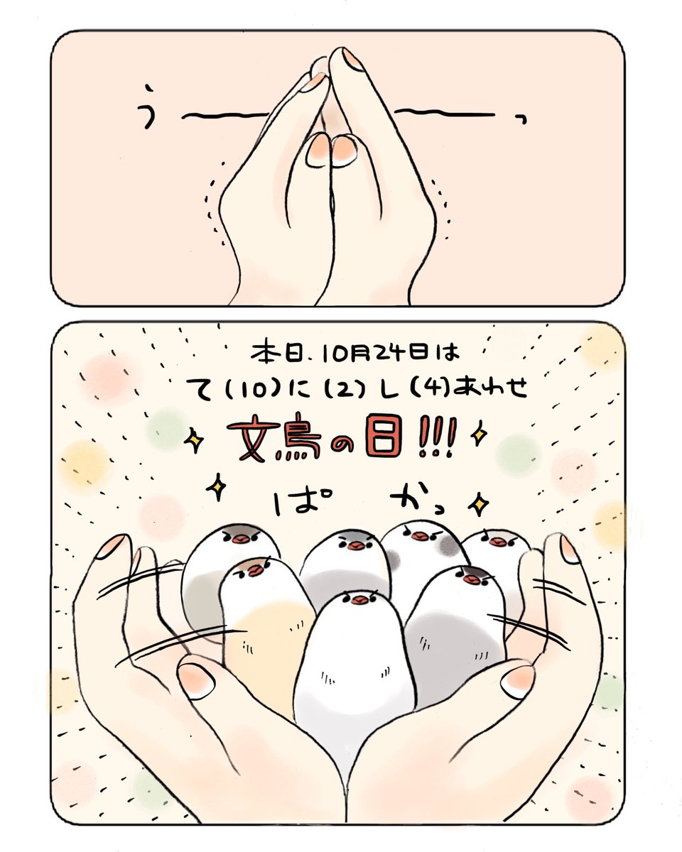 文鳥の日、万歳🙌