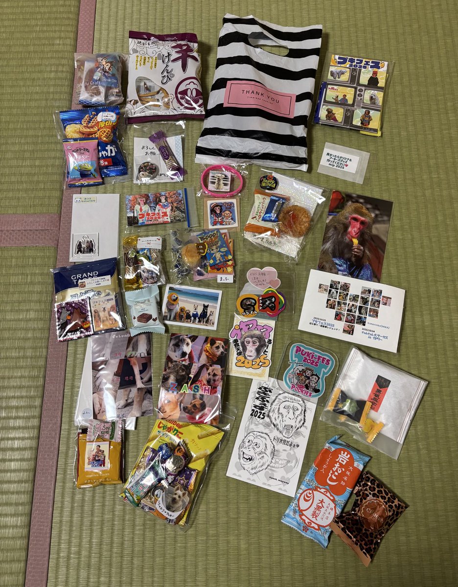 nutsppm's tweet image. 今日のわんわん大サーカスさんのイベント楽しかった☺️

本日やり取りさせて頂いた方々、お顔とお名前が一致してなくて明日もご挨拶しちゃうかもですが、ありがとうございます😊

#ZASH
#わんわん大サーカス
#プキフェス
#PTS
#カドリードミニオン