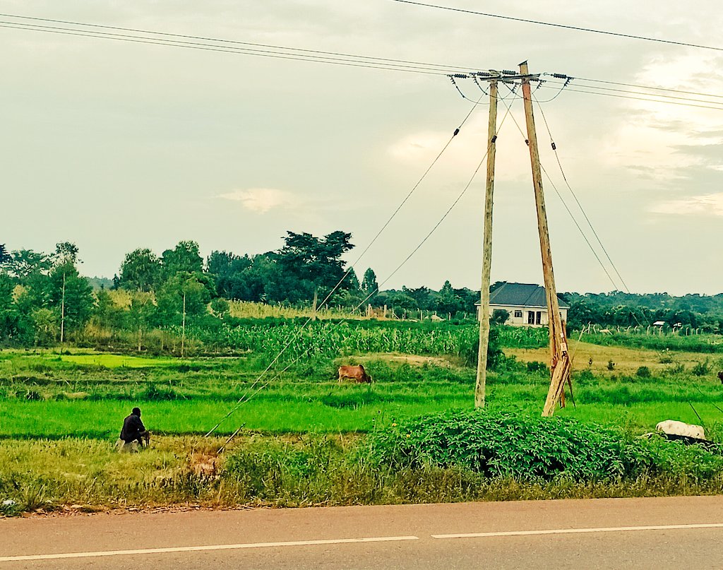 WyzzieBlackCess's tweet image. That pole is in a toxic relationship with gravity 😅 #JustLetGo”