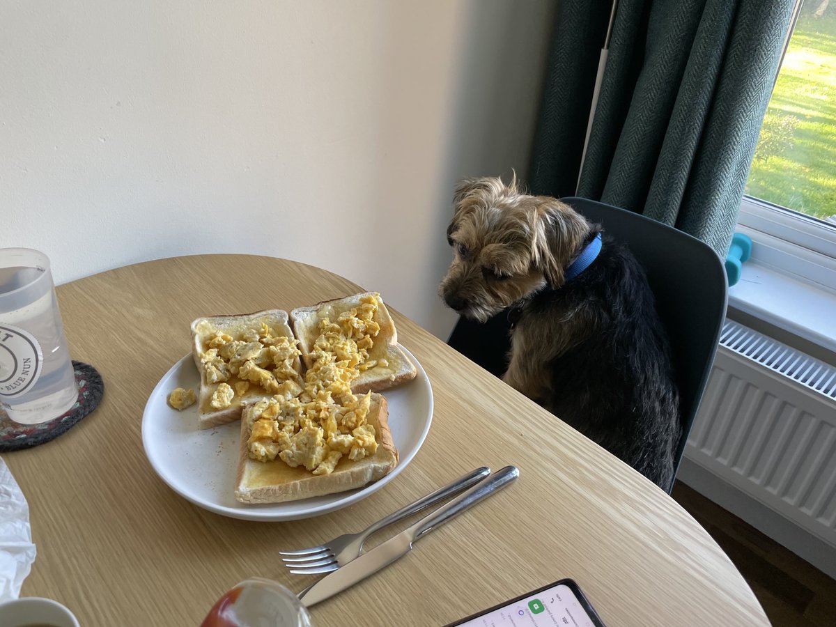 HomesChristineH's tweet image. Stolen seat #Benedict #BTPosse ⁦@revdlouisjj⁩