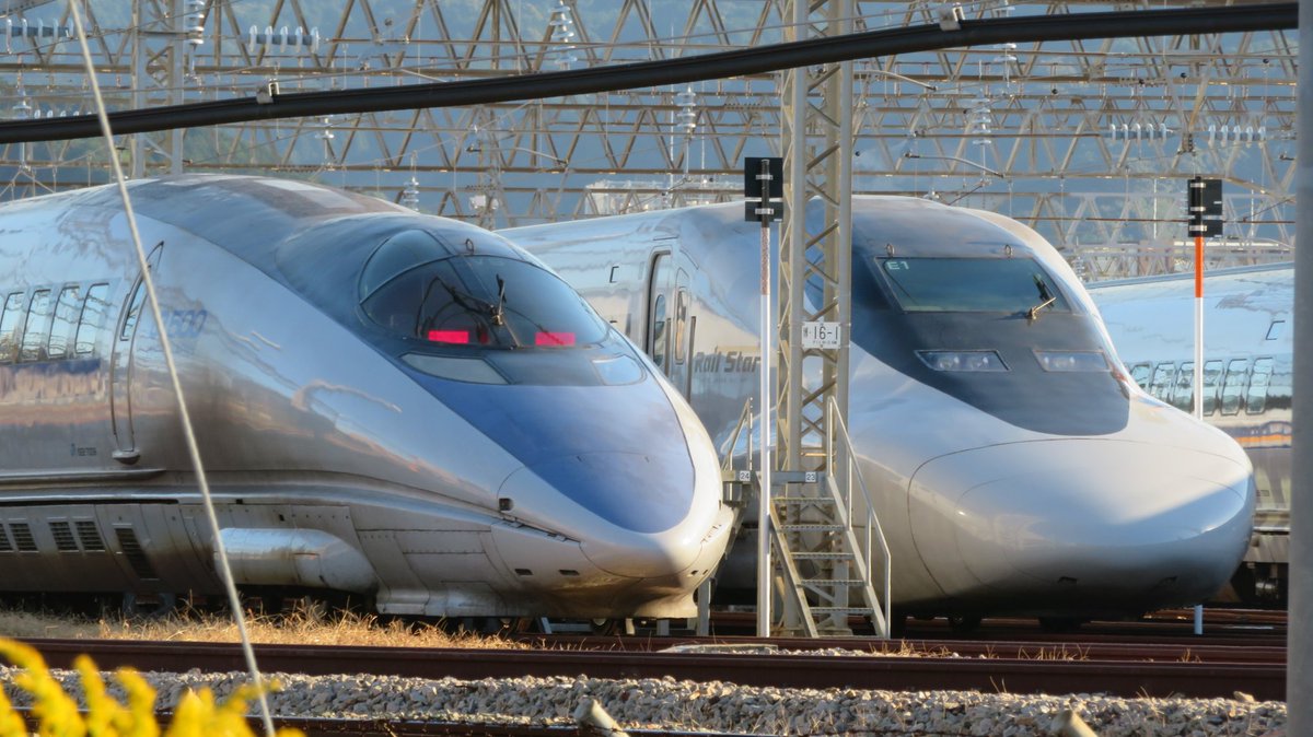 人見知りなキタキツネ on X