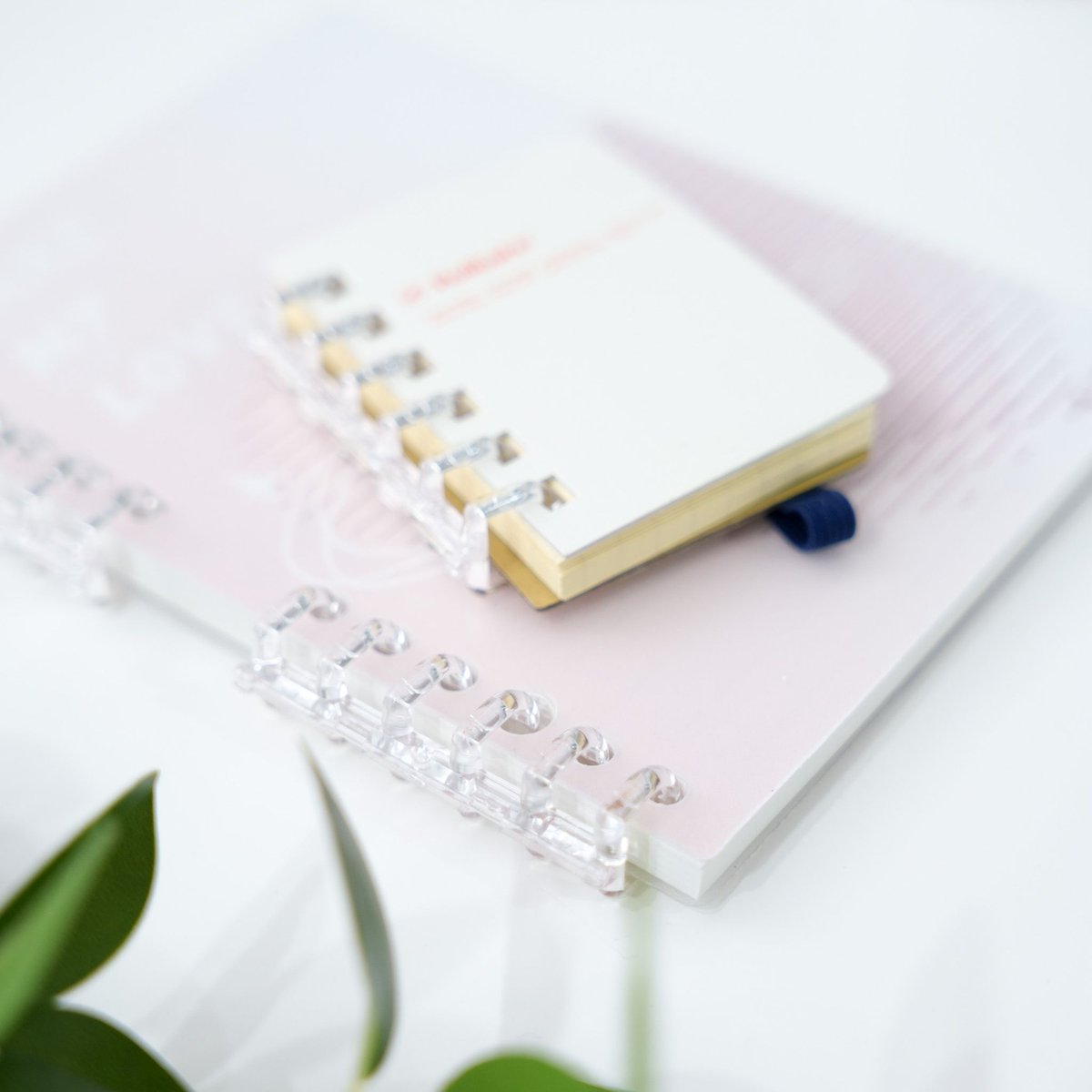 monito_mico's tweet image. ロルバーンミクロを待望のルーズリーフ化した✌️中にシール貼ると厚みが出るから、用紙減らせるだけでも助かる。ちなみに6穴のルーズリングを探しまくっていたんだけどノートについてるの見つけてリングだけもぎ取った