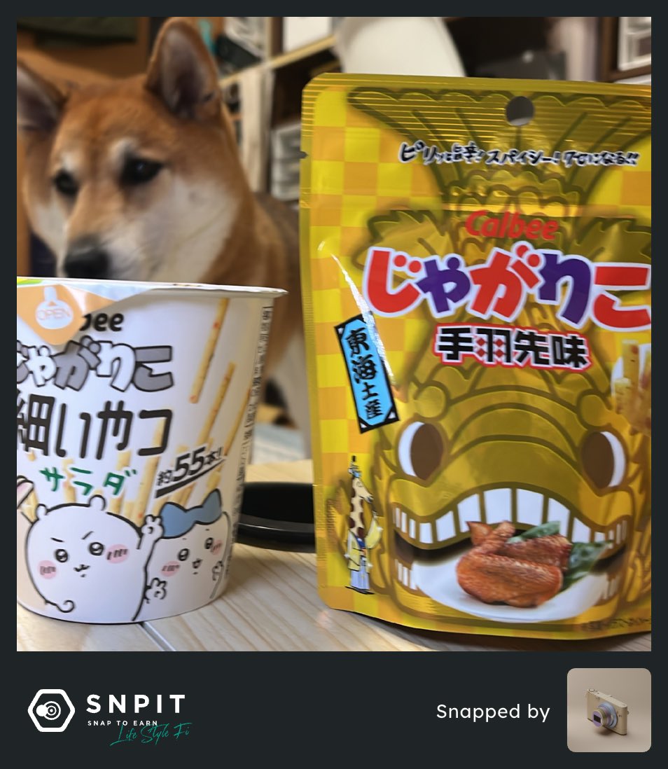 hanajisnpit's tweet image. #じゃがりこの日　のじゃがりこミントはやっぱり一味違うね🐾🐾🐾

#SNPIT
#じゃがりこ