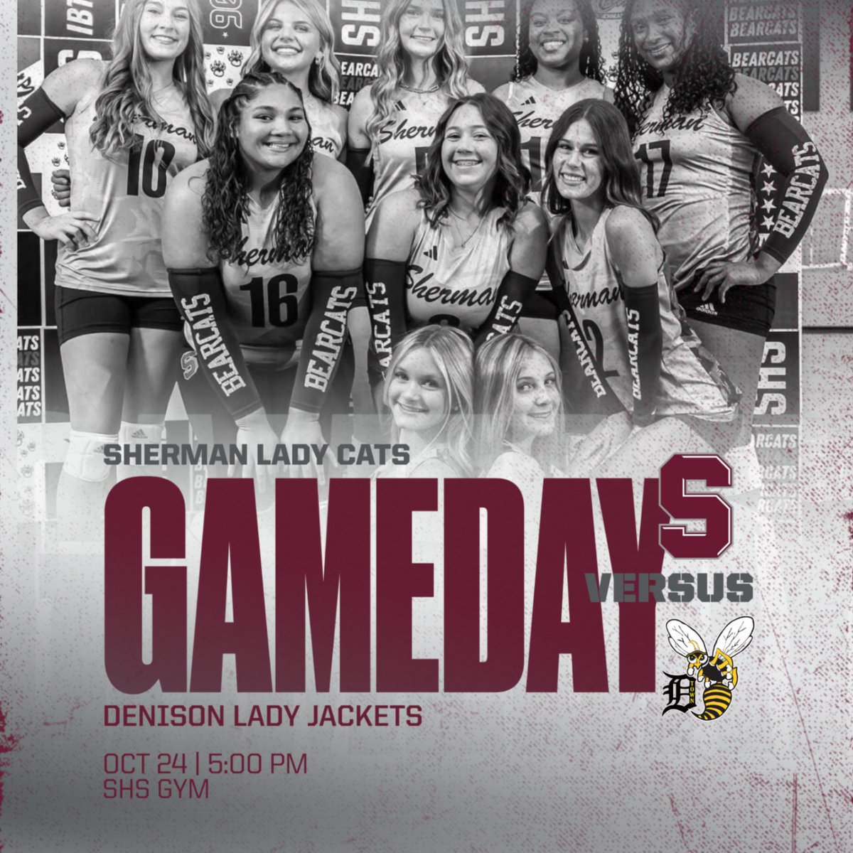Sherman Lady Cat Volleyball tweet media