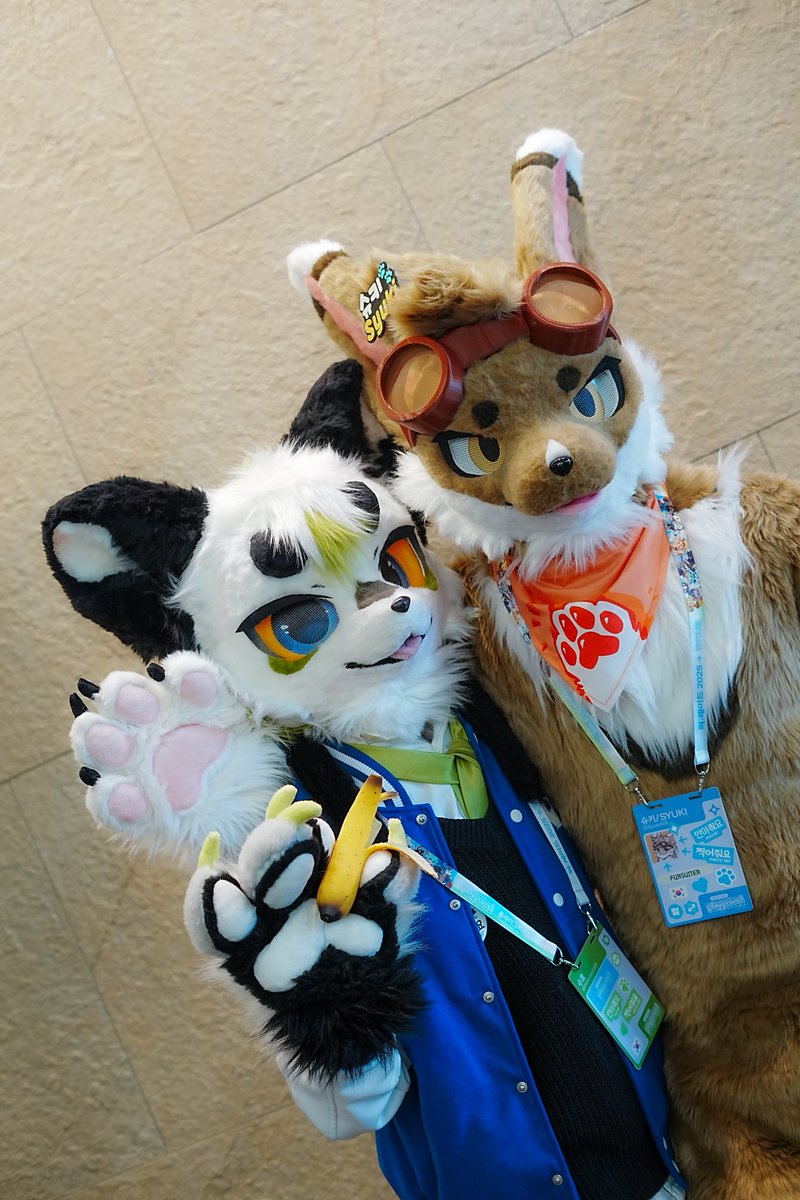 "북극여우 VS 사막여우"
🦊<a href="/Syuki_Fur/">슈키(Syuki_Fur)</a>
📷<a href="/ETHEN7364/">ETHEN(에덴) 🔜 FURST CLASS</a>
#fursuit #furry #FursuitEveryday
#FursuitFriday #퍼레이드2025
#FURRAID2025