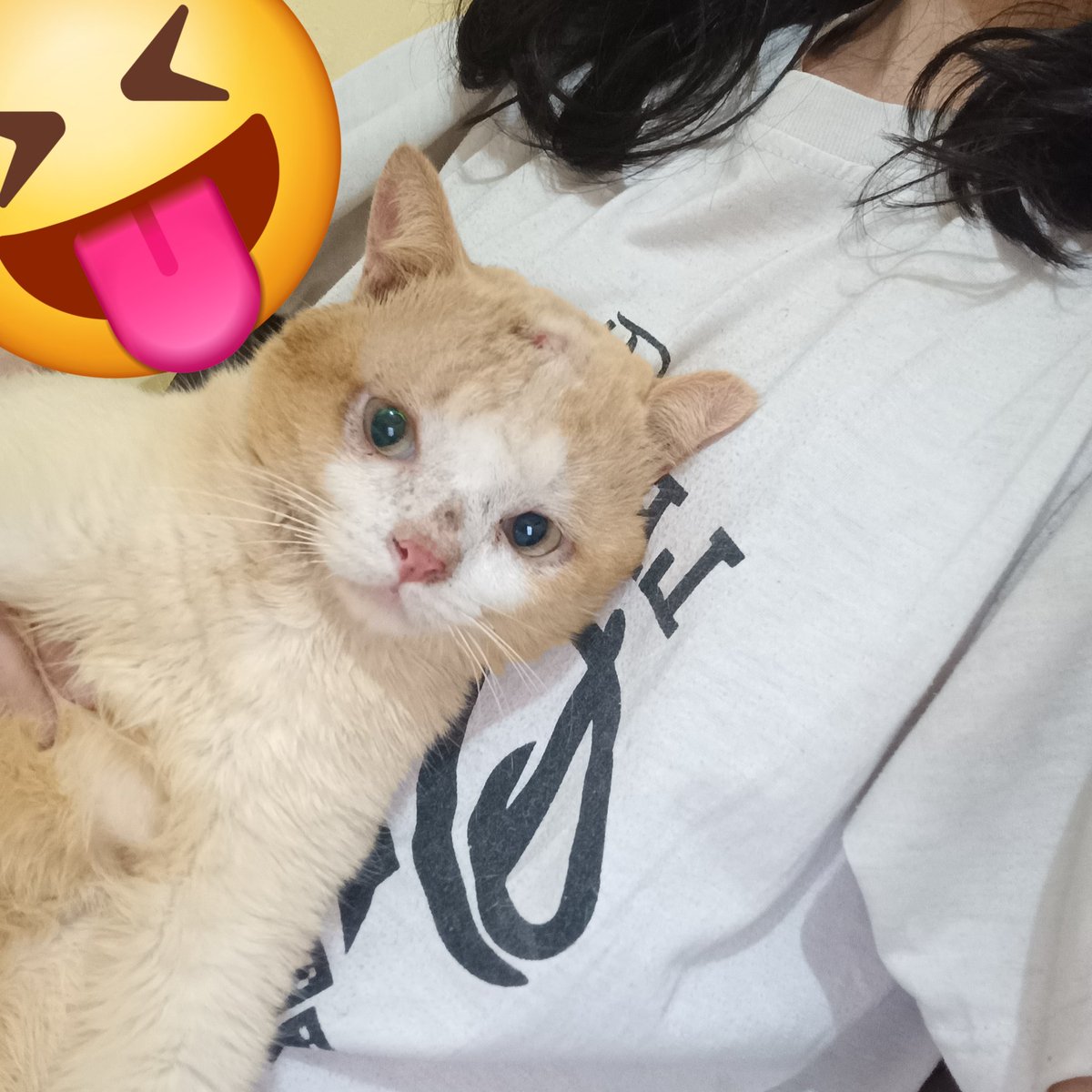 __chimichi's tweet photo. slamat malam smwahh https://t.co/zG7ZGOzKwh
