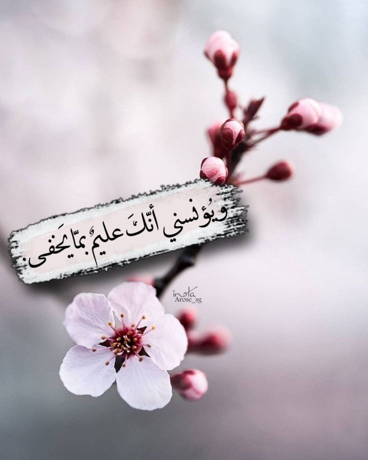 rooz4090's tweet photo. ,,

اللهـم بـگ الإگـتفاء ومنـگ القـــوة 🤍

،، https://t.co/nBcYqgoVsC