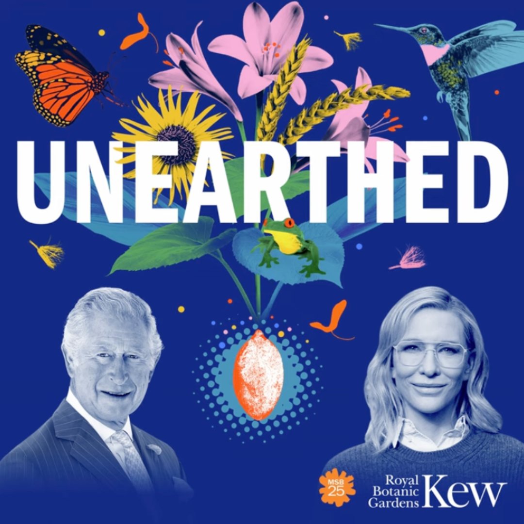 To celebrate the 25th anniversary of Kew Gardens’ Millennium Seed Bank, King Charles III joined a podcast highlighting the Seed Bank’s journey to housing over 2.5 billion seeds and promoting crop diversity.

🎧 Listen here 🔗 youtube.com/watch?v=TTCWAL…
