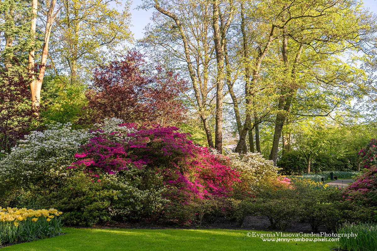 Xususiy uy qurilishi ayollar porno