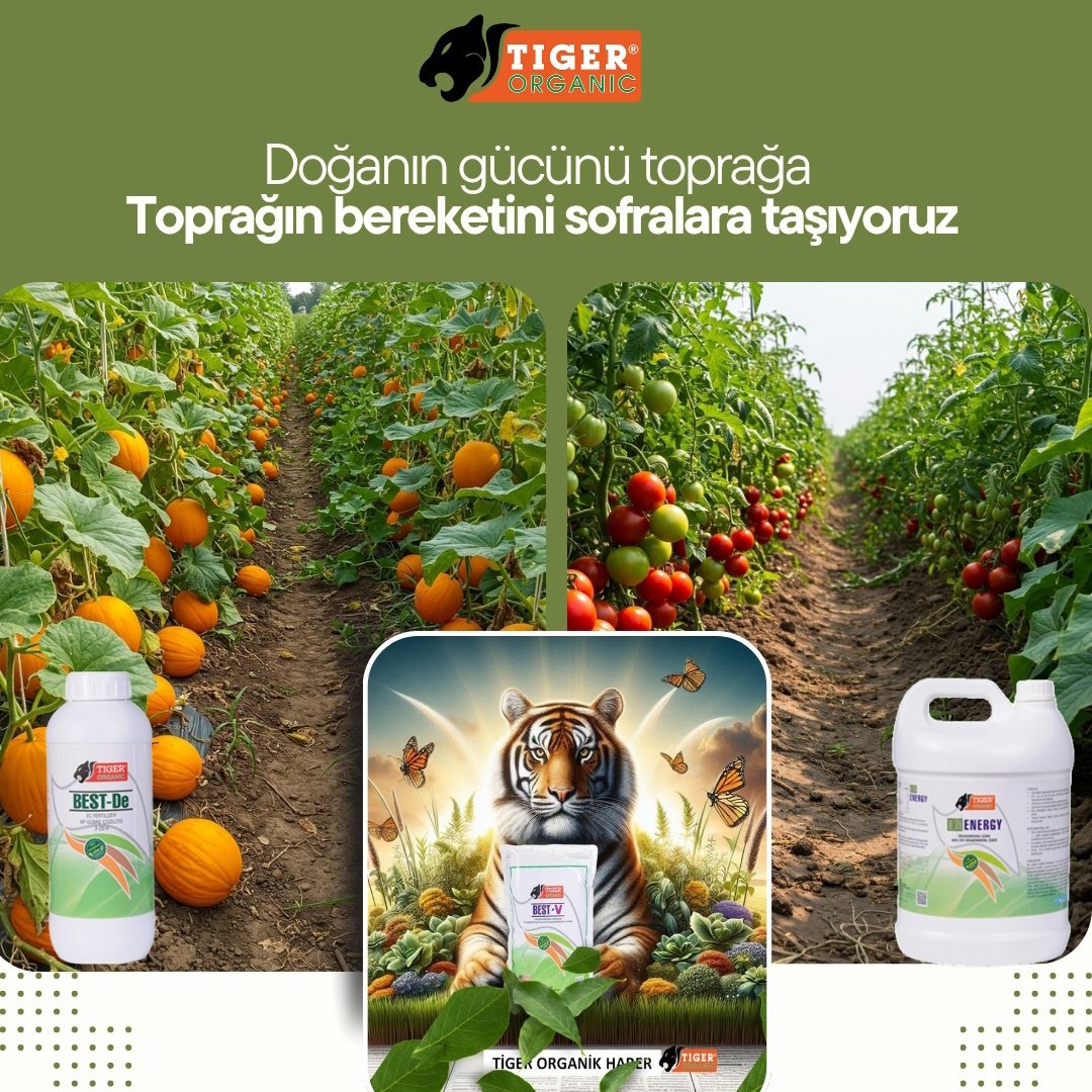 <a href="/tigerorganic/">tigerorganic</a> Türkiye'nin her yerinde!