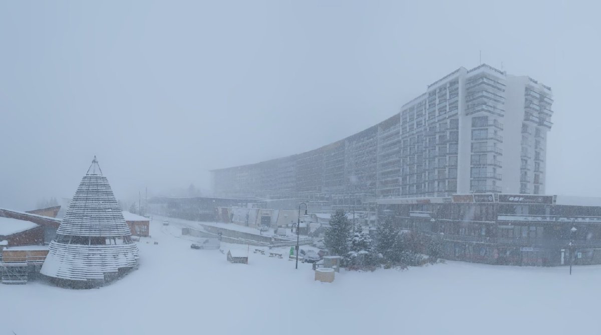 snow-wise tweet media