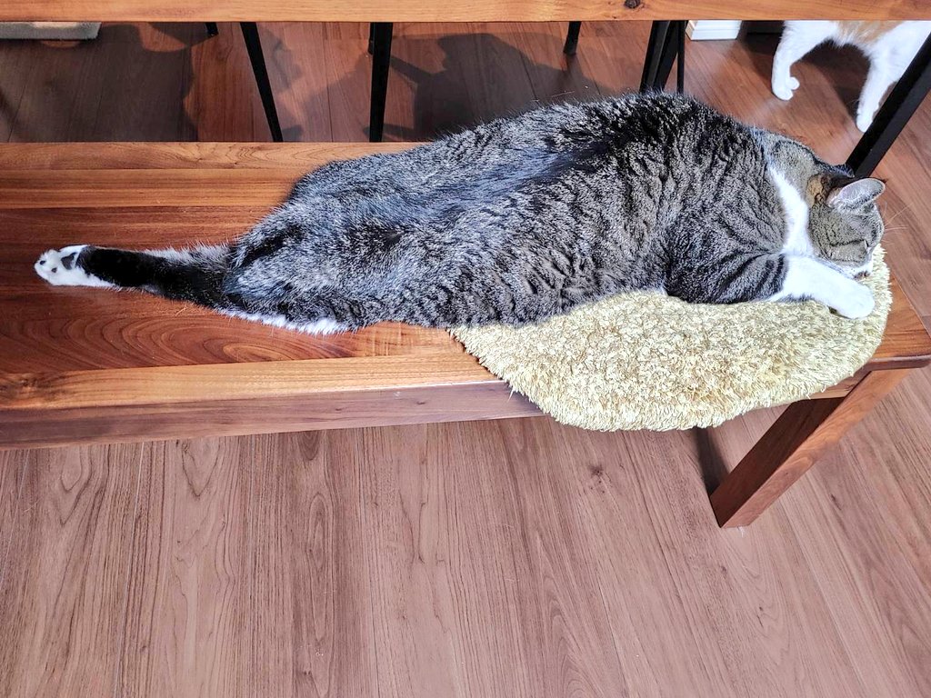 まめたろ (@kuromametaro620) / Posts / X