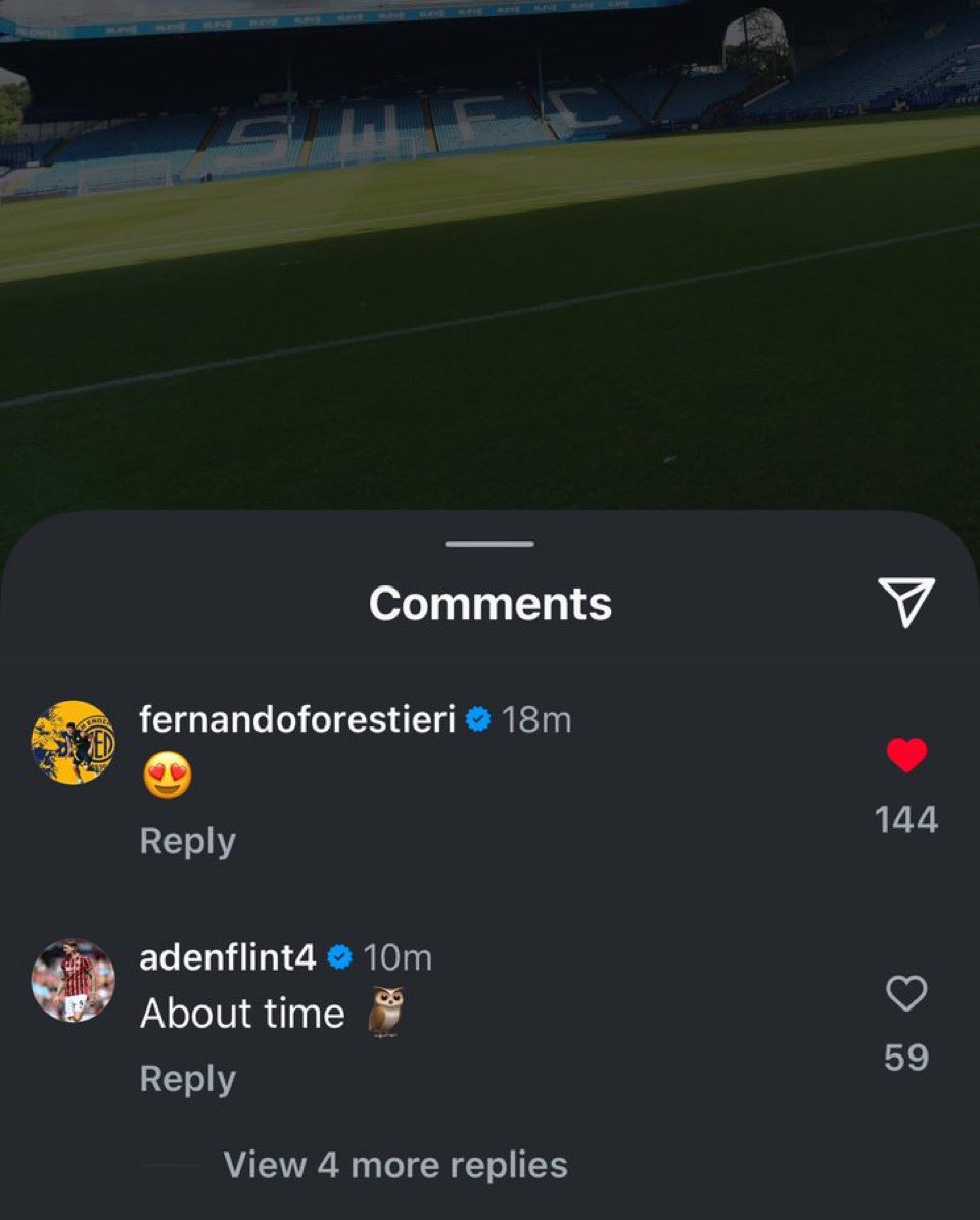 Aden Flint and Fernando Forestieri absolutely loving it with Chansiri on his way out. 

Now someone get Will Vaulks’ reaction 😅