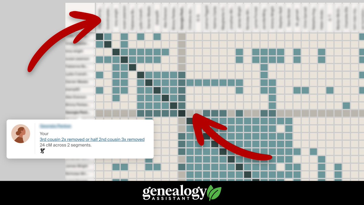 The next version of Genealogy Assistant coming this week adds readability enhancements for AncestryDNA Clusters.

- Names on the top are modified to match the names on the side and read vertically.

- Hovering over the clusters will add highlighting to easier see the path.