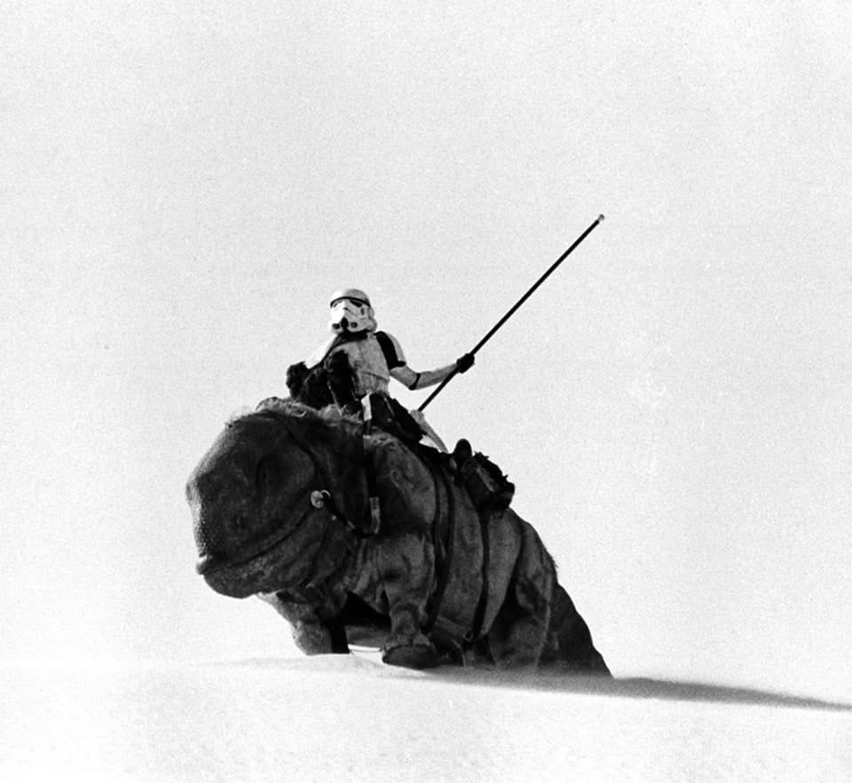 BobaFettANHSE's tweet photo. Love those creatures. #dewback #starwars #anewhope 1977 🎥 https://t.co/e0A9JixWz8