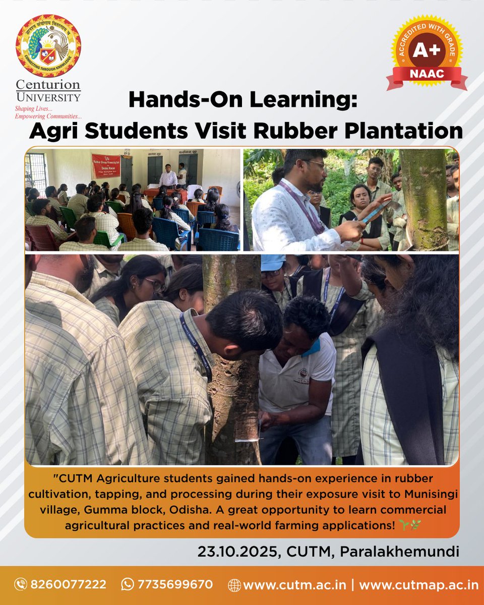 CUTM_AP's tweet image. &quot;Where Theory Meets Practice – Agri Students Explore Rubber Farming!&quot;

#cutmpkd #cutmap #cutmbbsr #agriculturestudents #rubberfarming #hands-onlearning #experientiallearning #agricultureeducation #commercialfarming #futurefarmers