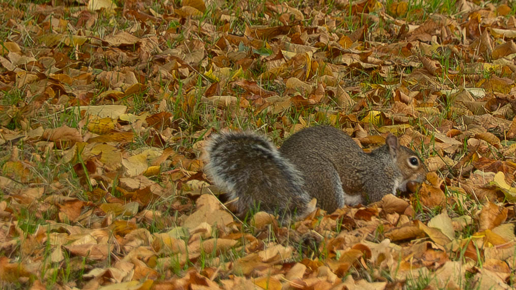 Cliff Salt tweet media