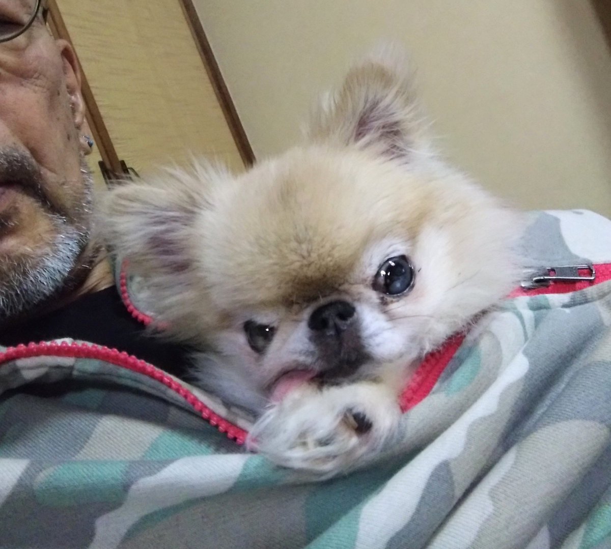 mirutmapgose's tweet image. こんばんは。
胡桃です。
みんな冬服に着替えたよ。
今日もおつかれ様でした。
おやすみなさい。