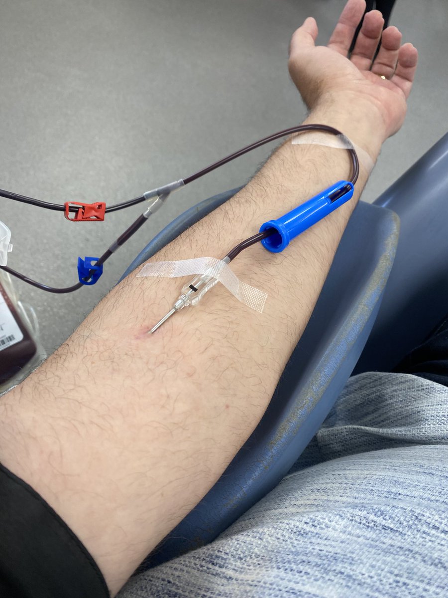 Steve Bold tweet media