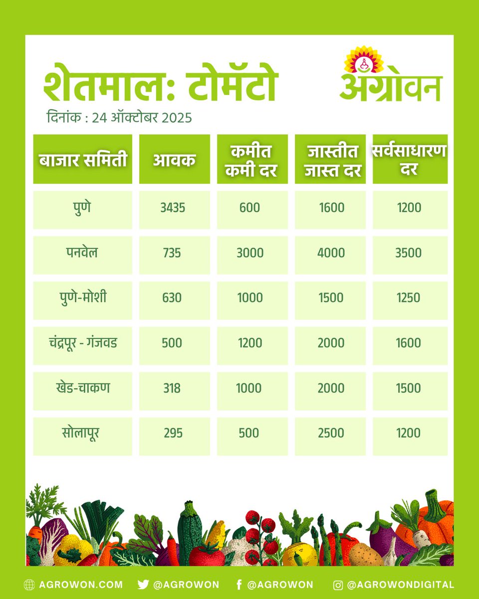 AGROWON's tweet photo. राज्यात कांदा, सोयाबीन, मका, टोमॅटोच्या किमती काय आहेत? कोणत्या पिकाच्या किमती वाढल्या आहेत, कोणत्या पिकाच्या किमतीत घसरण झाली आहे. हे जाणून घेण्यासाठी पाहा काय आहे आजचा बाजारभाव
#OnionPrice #SoybeanRate #MaizePrice #TomatoRate #MarketPriceUpdate #AgriMarket #FarmersUpdate https://t.co/NS4Jyc7Lf3