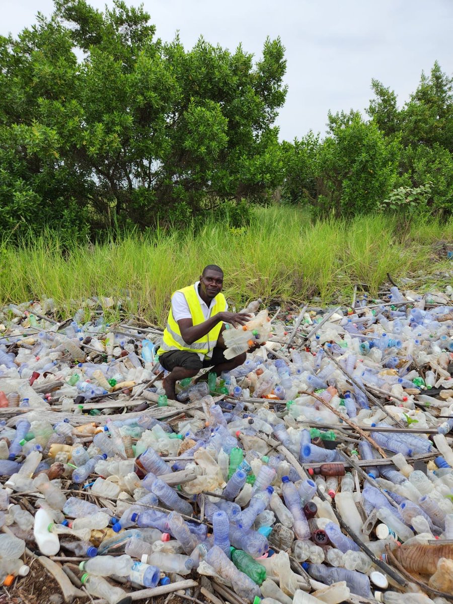 Conserv Congo tweet media