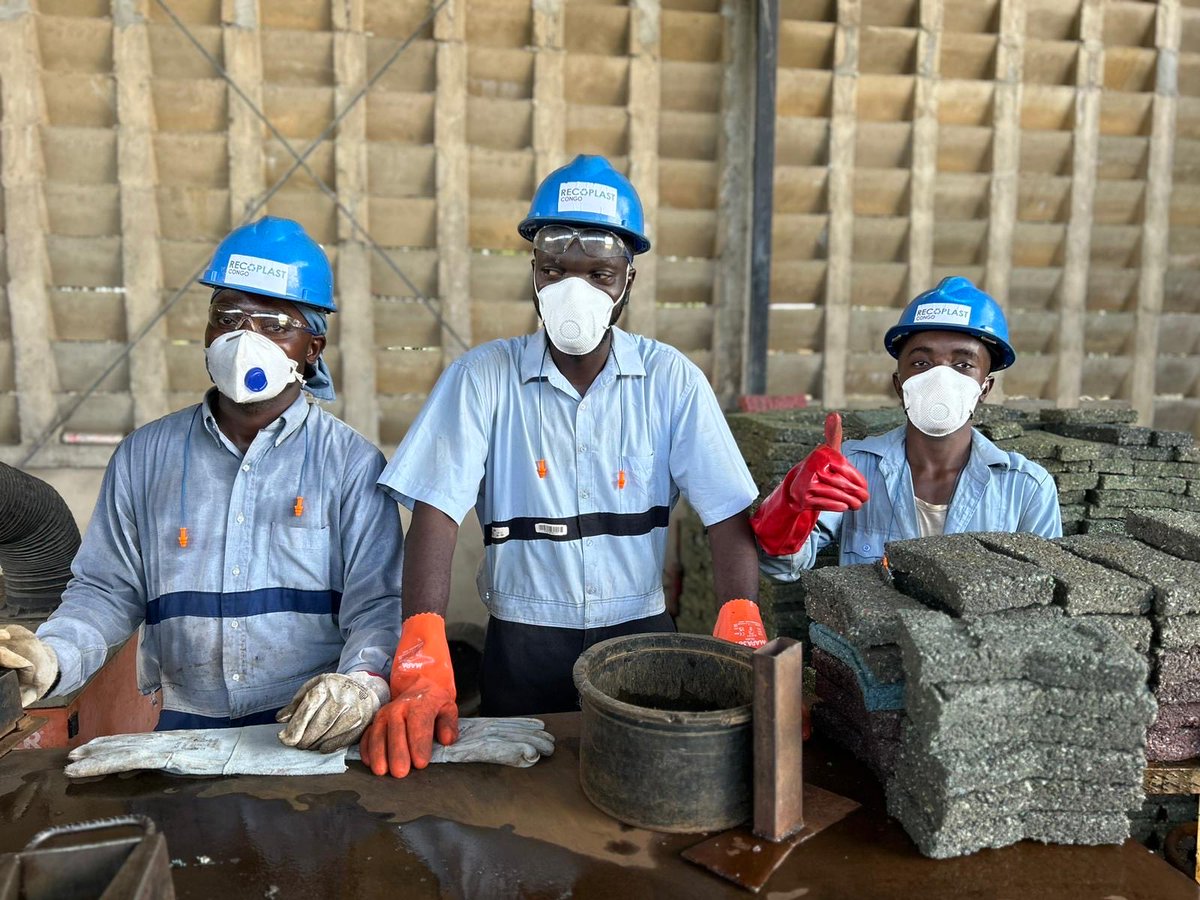 Conserv Congo tweet media