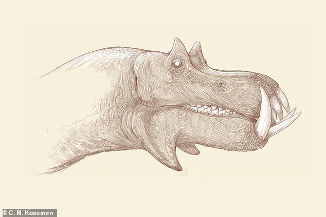 afrkml's tweet photo. Tengkorak hewan yg di frame kiri adalah milik hewan yg masih hidup di tengah2 kita.

Sementara frame kanan adalah bentuk hewannya jika tengkorak tsb digambar seperti cara ilmuwan zaman dulu memvisualisasikan tengkorak dinosaurus.

Coba tebak hewan apa ini aslinya? 🤣🫵🏻 https://t.co/1OCgNsjRgZ