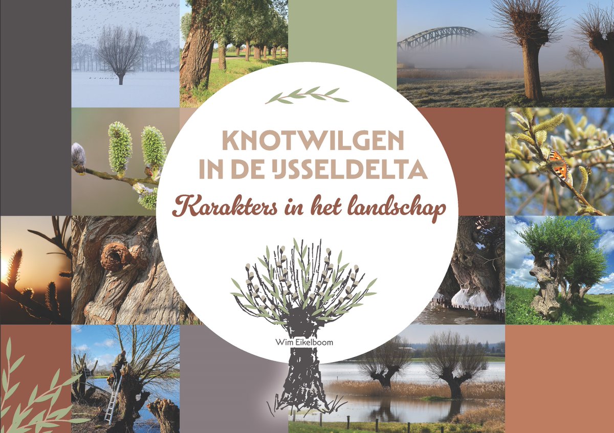 Alles willen weten over 'Knotwilgen in de #IJsseldelta'? Er zijn nog exemplaren van ons boekje hierover beschikbaar. Voor slechts 18,50 euro te bestellen bij rb.gy/exd7p6 Wordt u donateur, dan ontvangt u dit boekje gratis -> ap.lc/XQKqo <a href="/boomeik/">Wim Eikelboom</a>