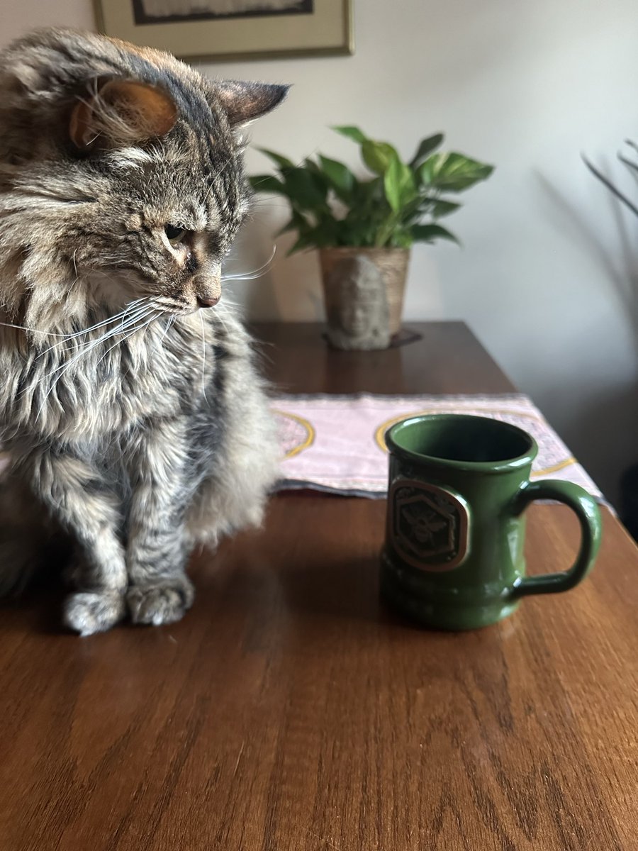 It’s a fine morning for hot coffee in my new mug. <a href="/OldHollowTree/">Old Hollow Tree</a> 

Kitty approved. She’s 15 and very discerning.