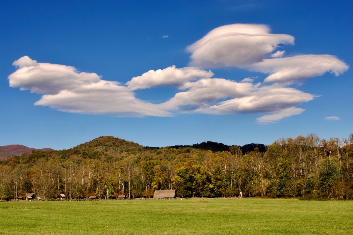 DeepGreens2's tweet image. Happy Friday! #Fall #GSMNP #Smokies #Photography