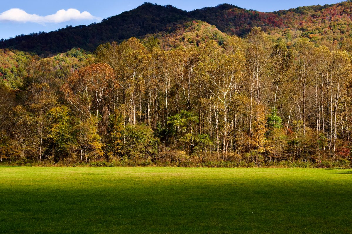 DeepGreens2's tweet image. Happy Friday! #Fall #GSMNP #Smokies #Photography