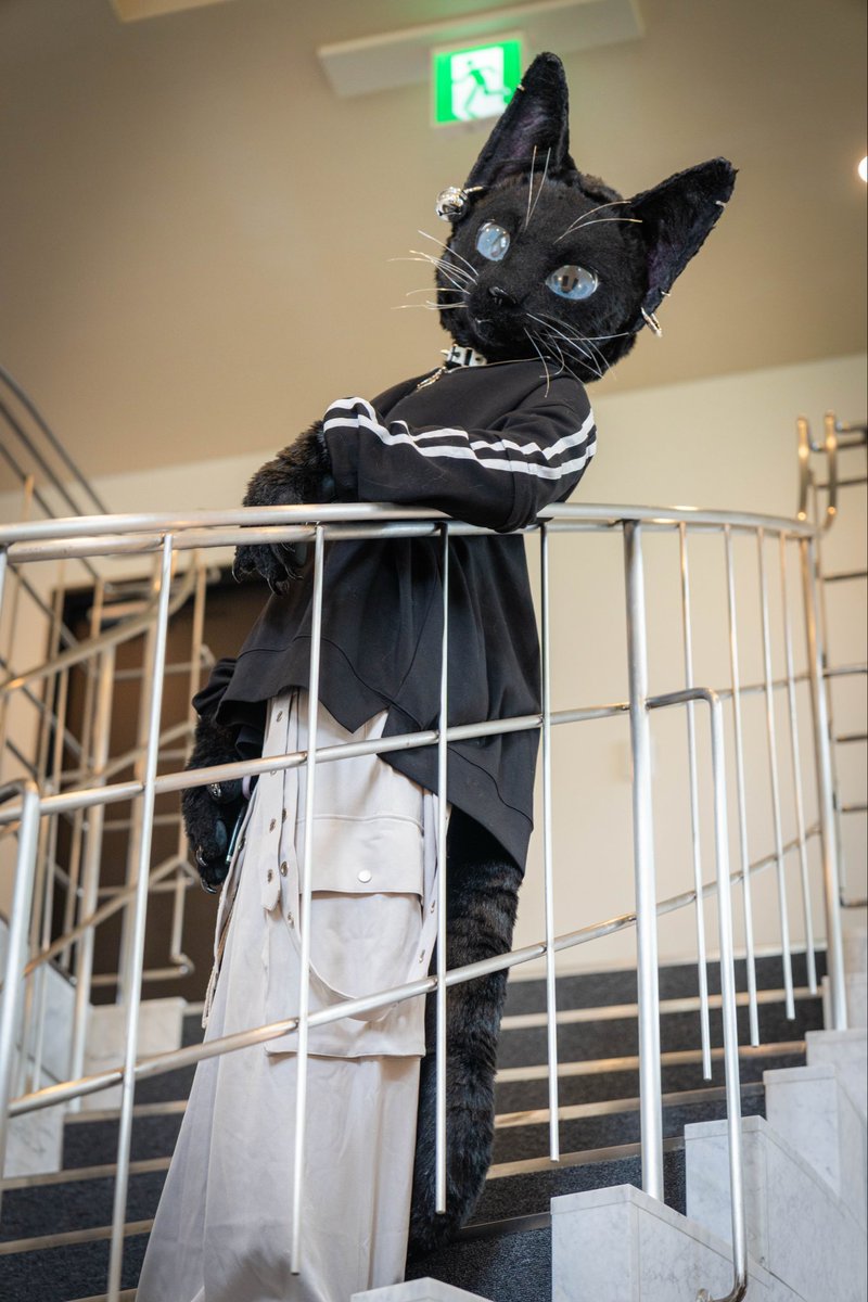 I like high places.
 #FursuitFriday 

📸 #mioru_work