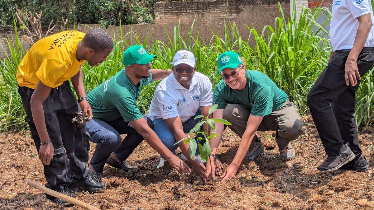 Abawedawe tweet media