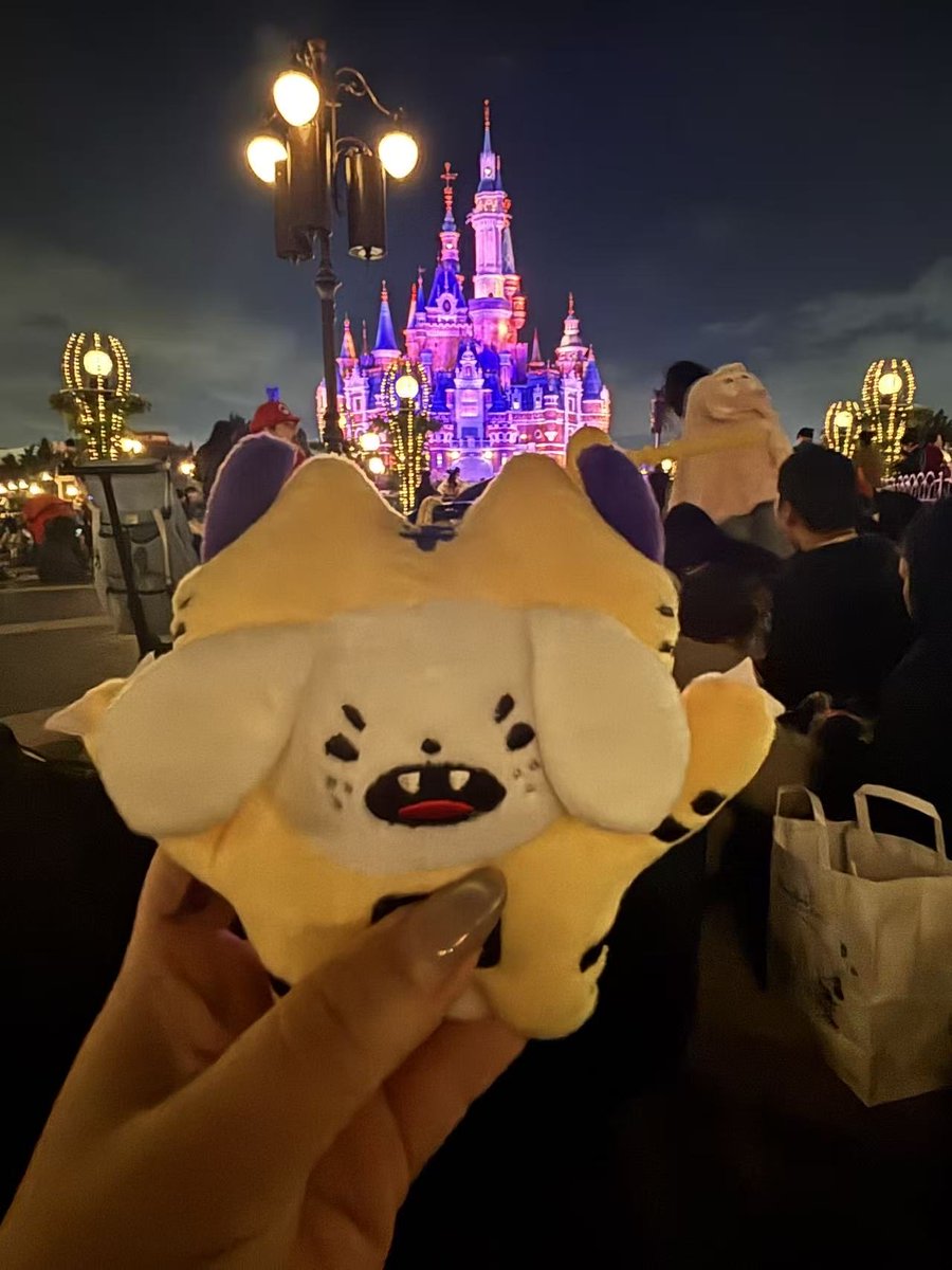 camuihane's tweet photo. Sol Cute: go nuts ✈️
over the moon 🤣

Cr: lunaluo

#solcute 
#SolCute 
#perthchimon 
#SolCuteFamily https://t.co/6GuRkzHOD6