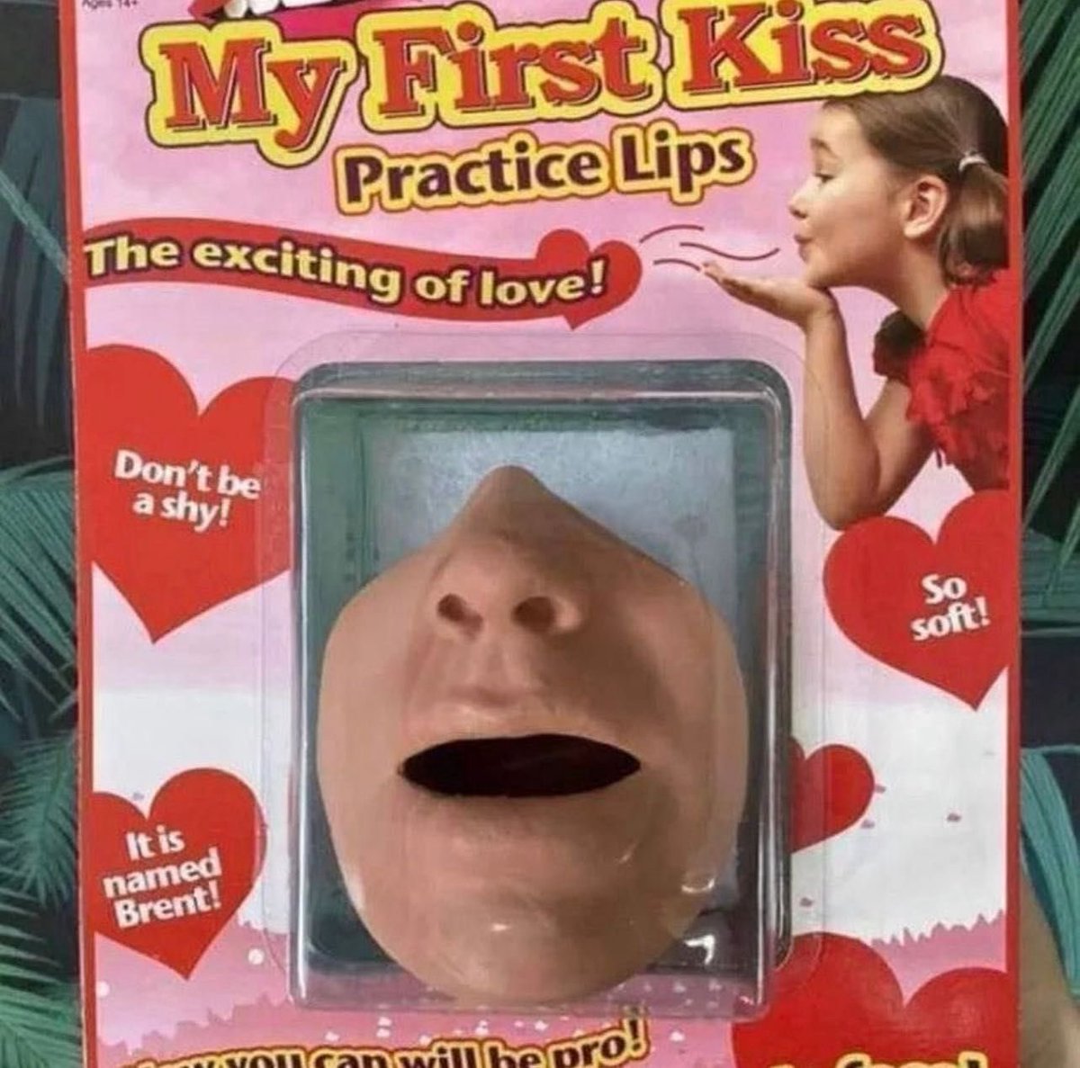 Yotohi 🦈 tweet media