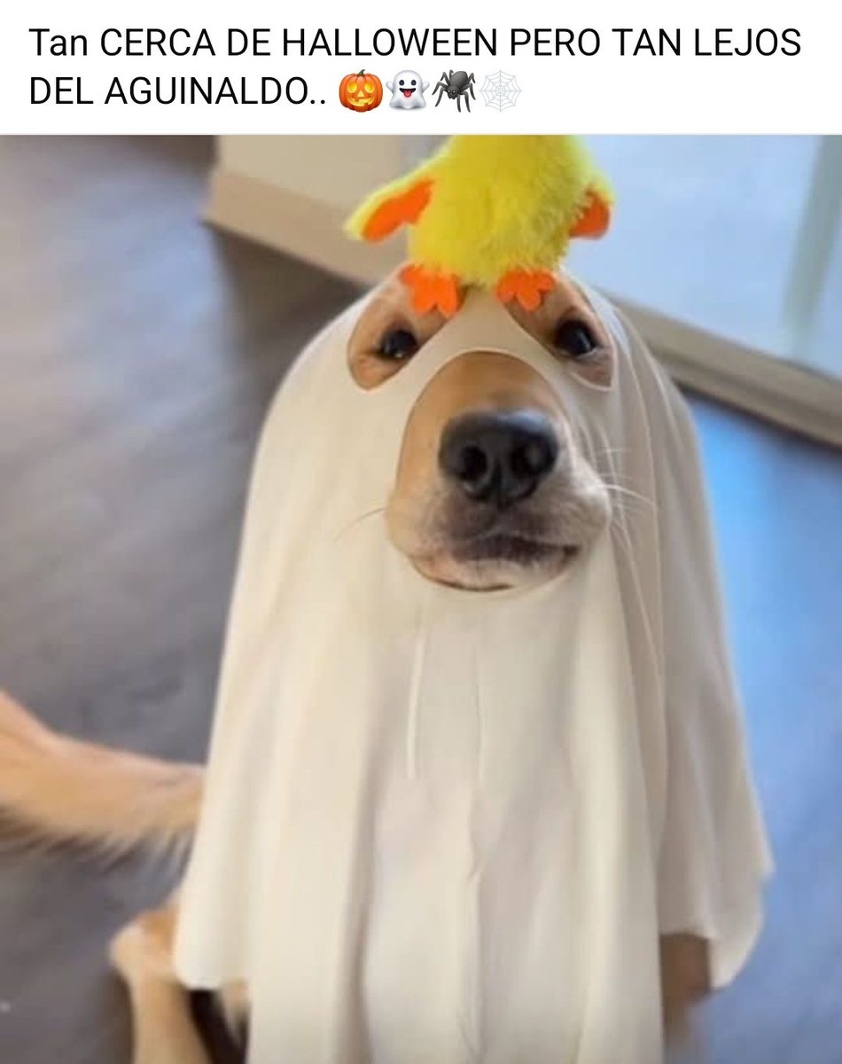 <a href="/YODEBUENAS/">Miguel Barrientos Mx</a> <a href="/La99fm/">La 99 FM</a> <a href="/YoAmoLa99/">AmoLa99 💙🎶📻 #YoAmoLa99</a> #ViernesdeChavorrucosconMiguel