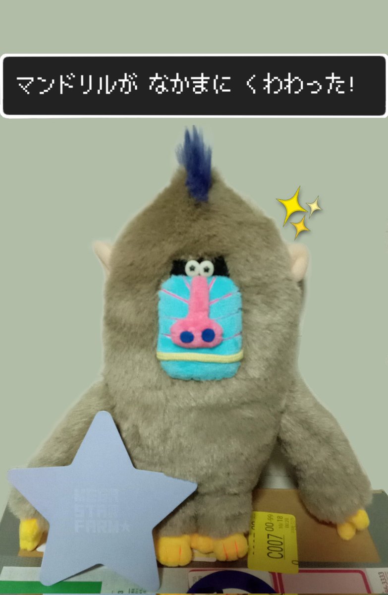 るん⭐︎ 96𓃡（くろいぬ） (@nekozeinu13) / Posts / X