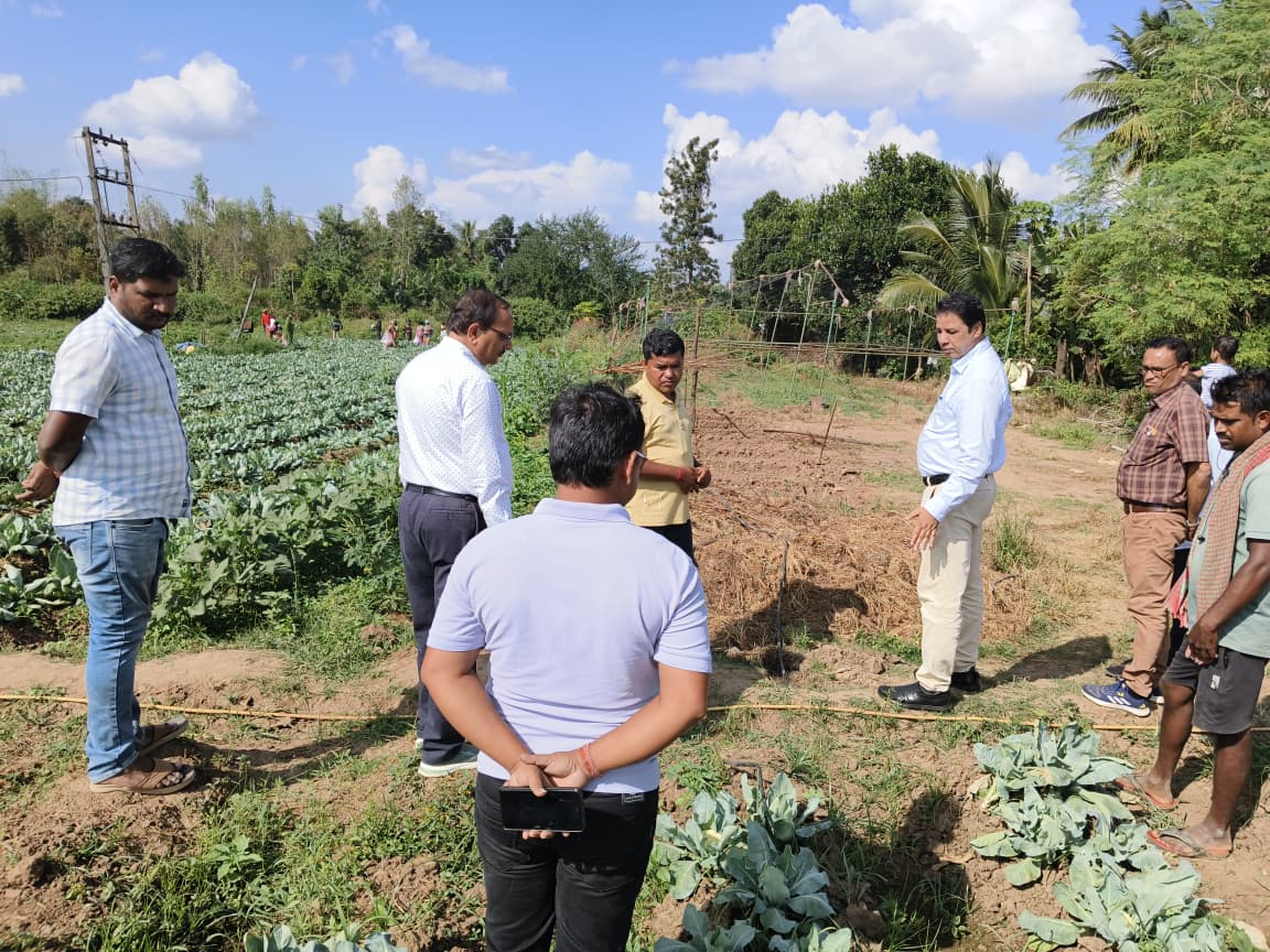 DMnabarangpur's tweet image. Visited Chattabeda village to inspect the thriving vegetable farming site, witnessing firsthand the hard work blooming into bountiful harvests. Farmers for championing local livelihood initiatives. #VegetableFarming @CMO_Odisha @Horticultureod1