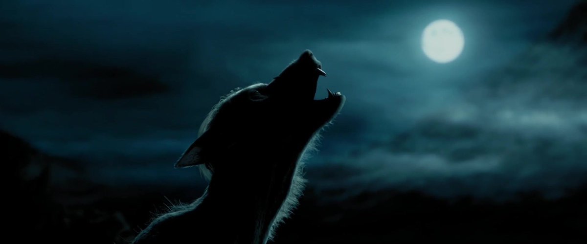 TheCinesthetic's tweet photo. harry potter and the prisoner of azkaban (2004) https://t.co/iVfqpkM0LD