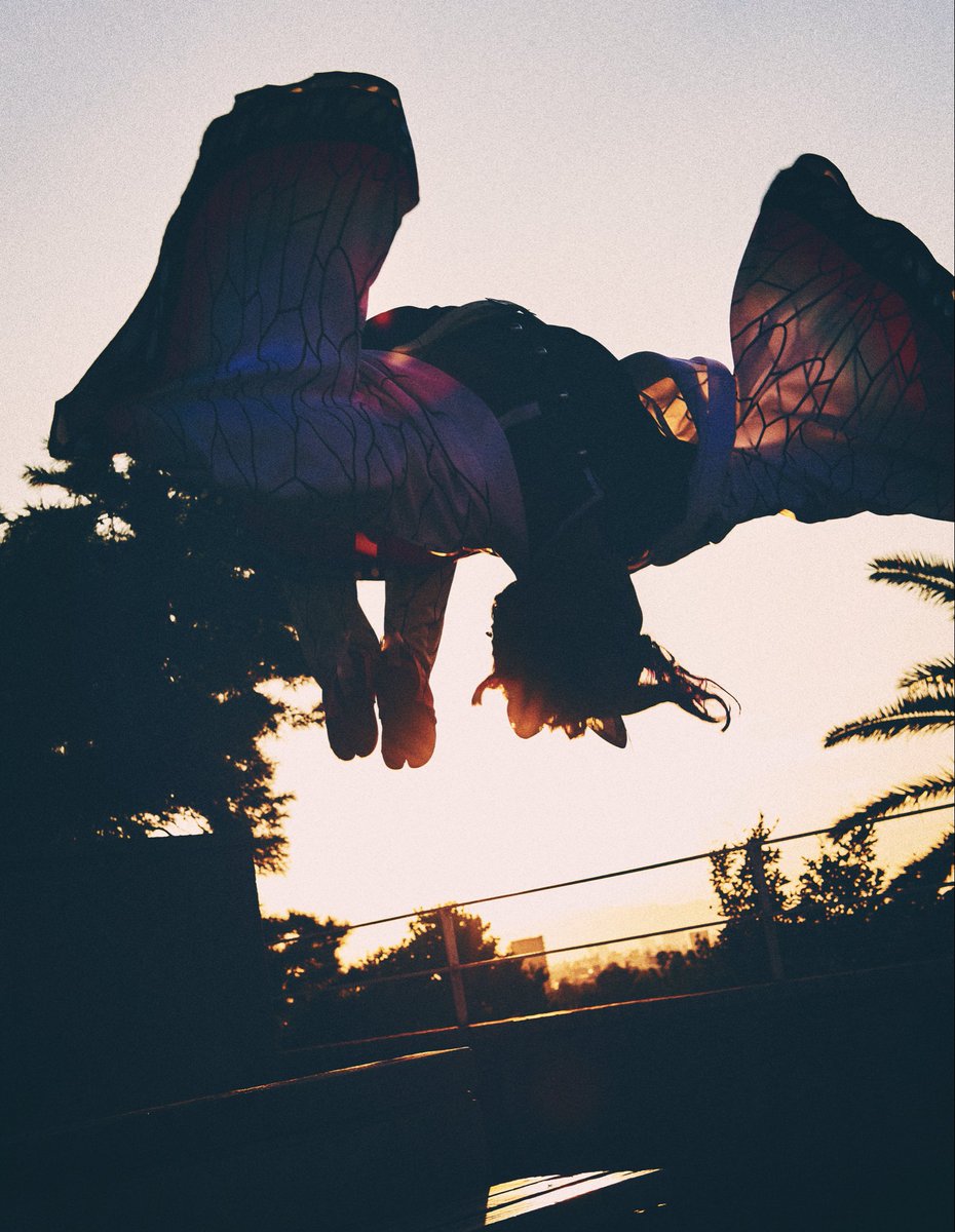 hhhhi02's tweet image. 外撮影のコスプレ写真で
これを超える事はないと思うくらい
いつ見ても綺麗🦋.*˚

皆さんは何枚目が好き？🫶

📸 @AYATO28 

#鬼滅の刃 
#胡蝶しのぶ 
#コスプレ #Cosplay 
#アクロバット