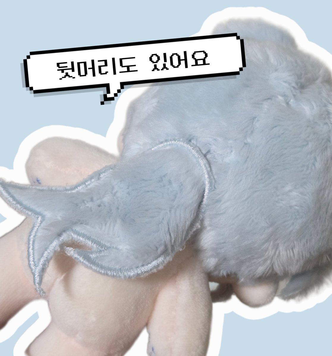 솜꼬🎀 tweet media