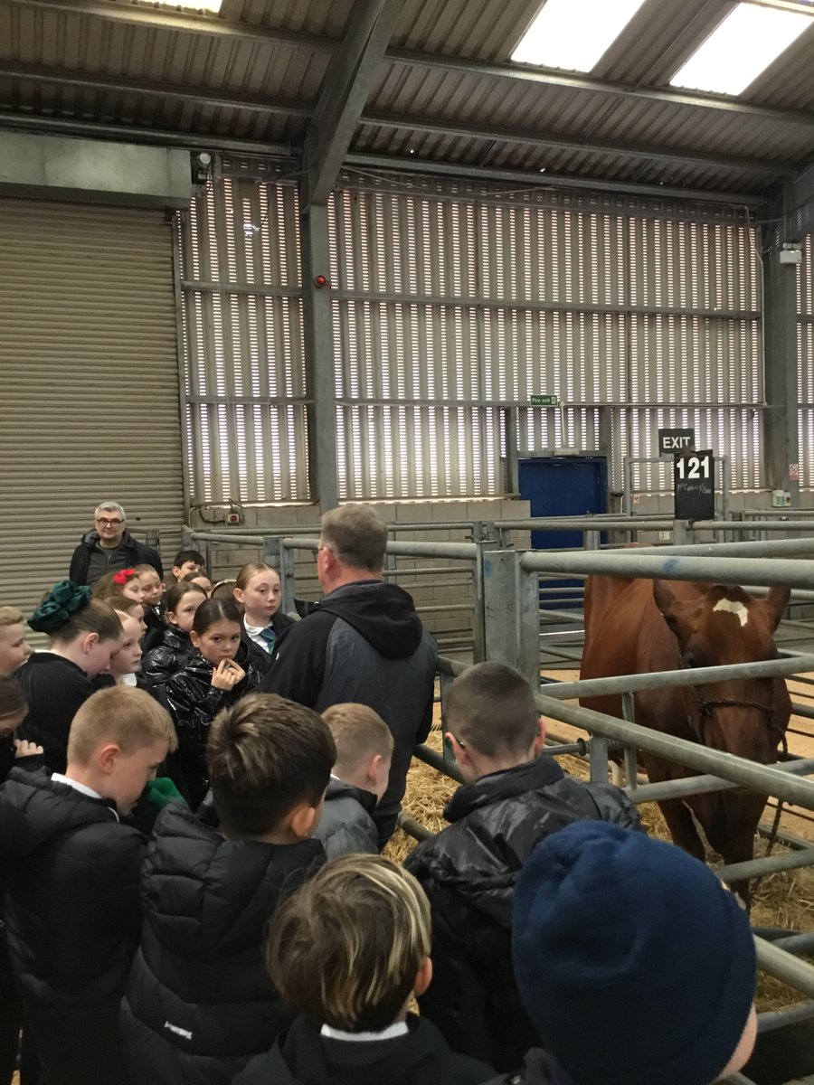 StAugustine_PS's tweet photo. Yesterday Primary 6 Rm 12 went on a farming trip to Lanark Agricultural Centre! We learned all the about farmers, farming and where our food comes from. This links to our Rights Respecting Schools topic for this month - Harvest and Wood Food Day! 🚜🌏🌾#staugstewards https://t.co/3qoP11tuzx