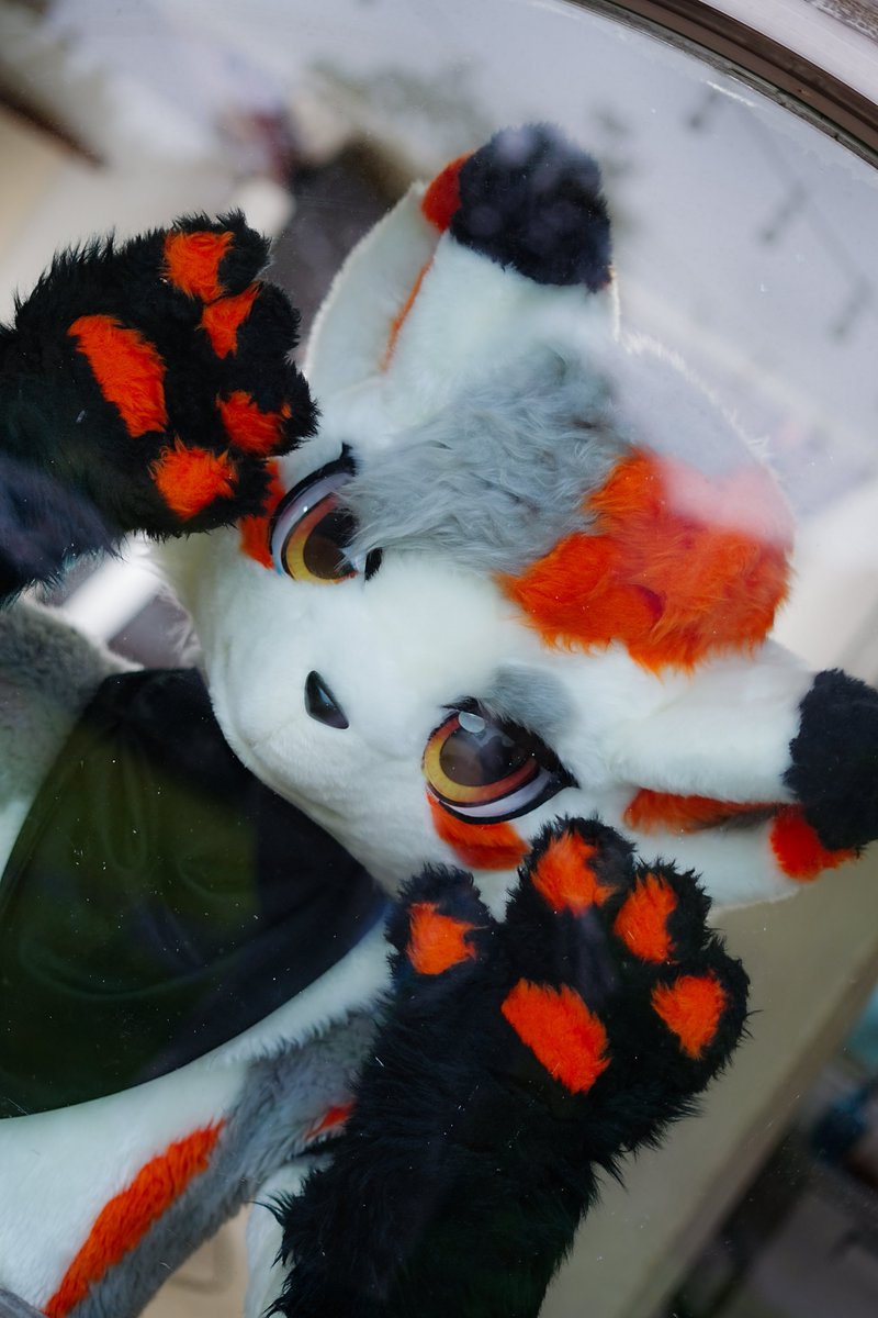 う〜

#FursuitFriday