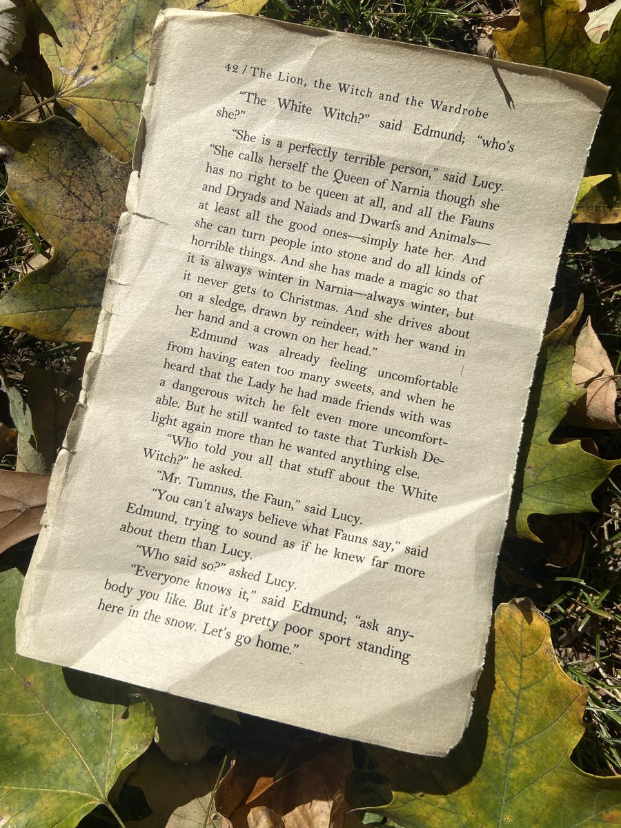 I found page 42 of The Lion, the Witch and the Wardrobe on the ground near our yard this week.