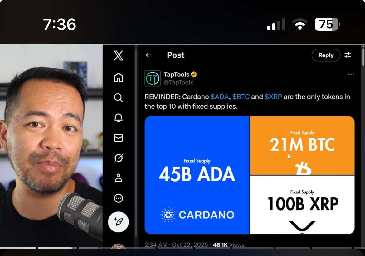 ADA Bookworm (@ada_bookworm) on Twitter photo It’s Friday! My catch up on Cardano video content day 🤗
New <a href="/astroboysoup/">Pete | Beware of Scammers</a> vid just dropped 😃 It’s Friday! My catch up on Cardano video content day 🤗
New <a href="/astroboysoup/">Pete | Beware of Scammers</a> vid just dropped 😃