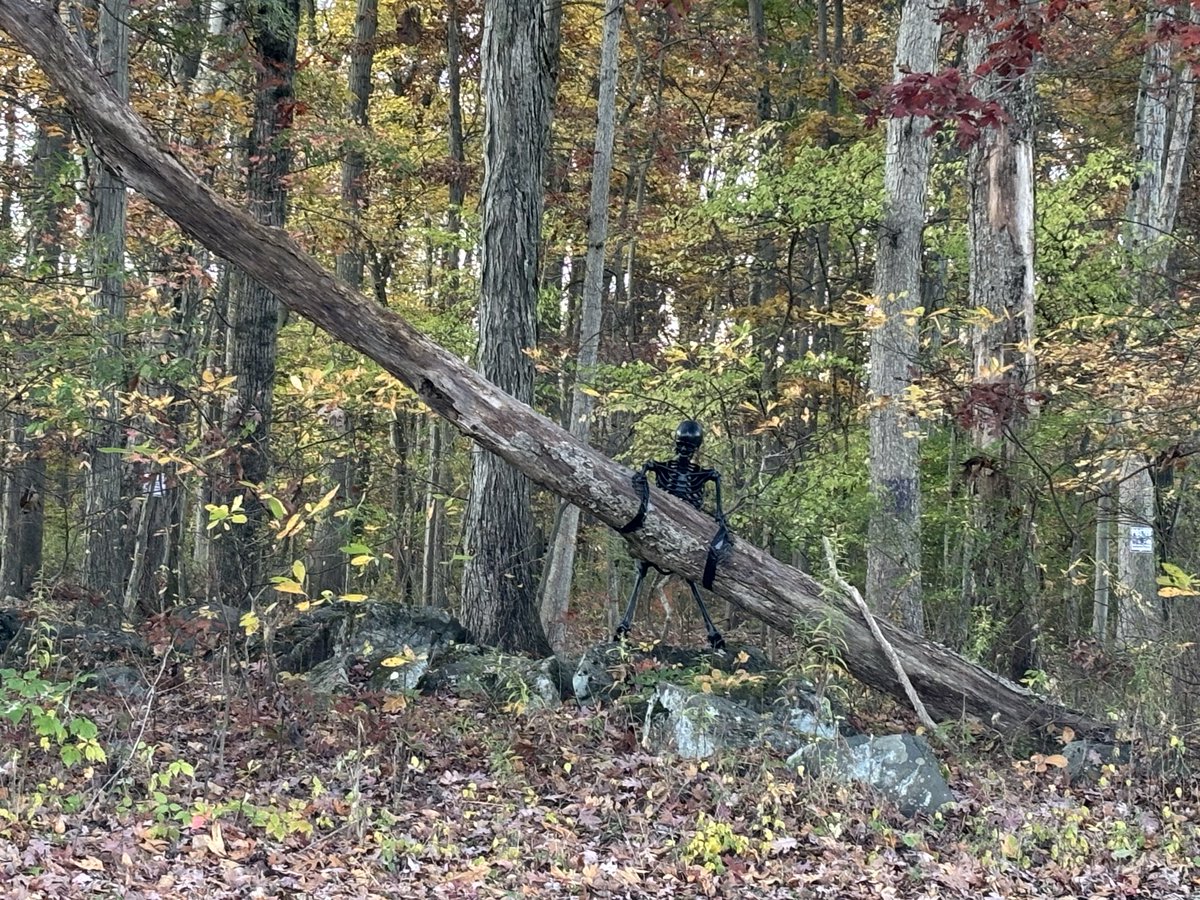 Steve Hailstone (K3SLH) tweet media