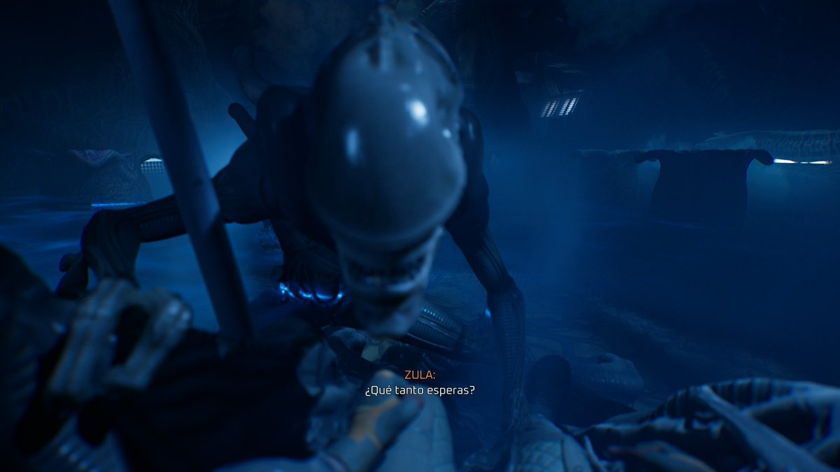 bemoldemarmol tweet media