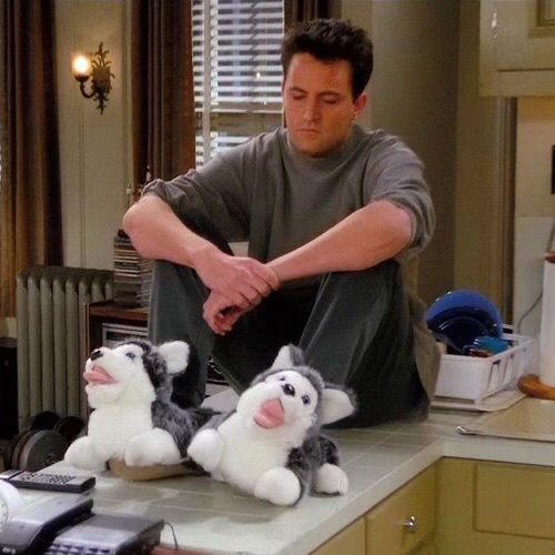 RebekaFizel's tweet photo. Me after @NellyFurtado s recent announcement… 💔 https://t.co/PWlmJ3Fl39