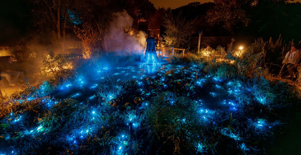 Vier de herfst met deze prachtige dagjes uit🍁 - mailchi.mp/dagjeweg/markt…